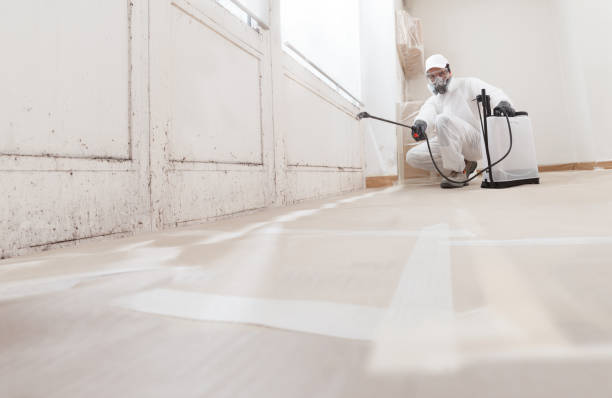 24/7 Emergency Basement Mold Remediation experts in Weems, VA